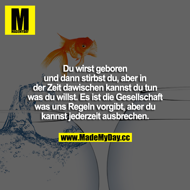 Du wirst geboren und dann stirbst du, aber in der Zeit dawischen kannst du tun was du willst. Es ist die Gesellschaft was uns Regeln vorgibt, aber du kannst jederzeit ausbrechen.