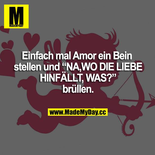 Einfach mal Amor ein Bein stellen und "NA,WO DIE LIEBE HINFÄLLT, WAS?" brüllen.