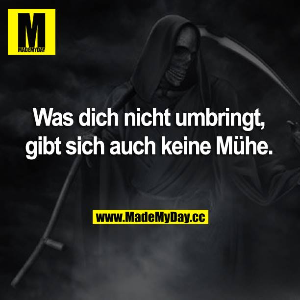 Was dich nicht umbringt, gibt sich auch keine Mühe.