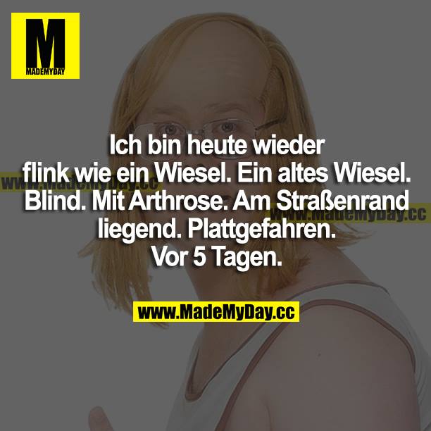 Ich bin heute wieder flink wie ein Wiesel. Ein altes Wiesel. Blind. Mit Arthrose. Am Straßenrand liegend. Plattgefahren. Vor 5 Tagen.