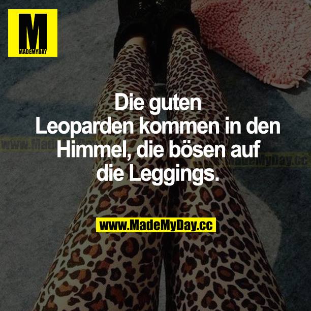 Die guten Leoparden kommen in den Himmel, die bösen auf die Leggings.