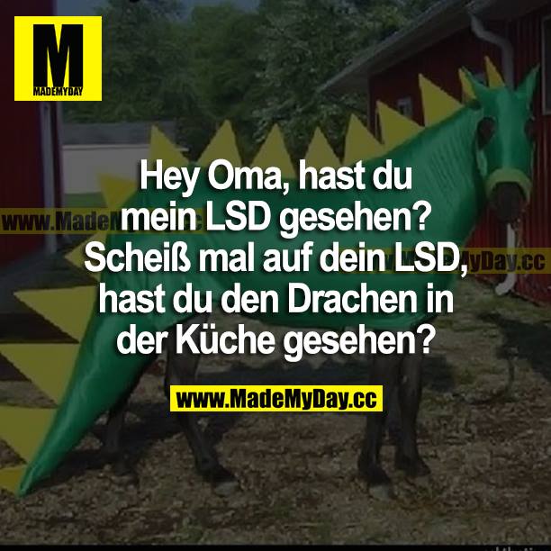 Hey Oma, hast du mein LSD gesehen? Scheiß mal auf dein LSD, hast du den Drachen in der Küche gesehen?