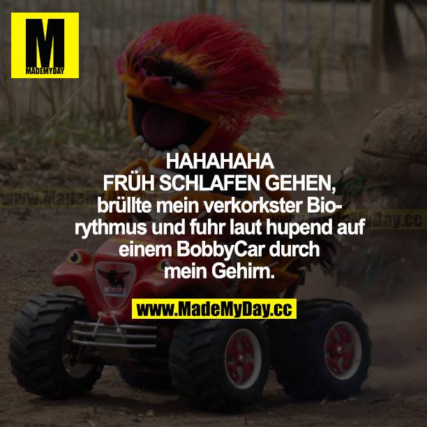 HAHAHAHA FRÜH SCHLAFEN GEHEN, brüllte mein verkorkster Biorhythmus und fuhr laut hupend auf einem BobbyCar durch mein Gehirn.