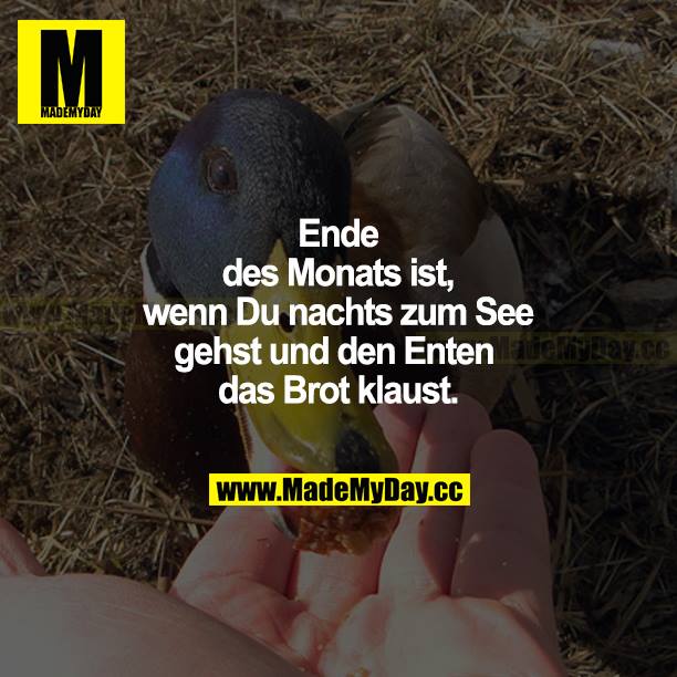 Ende des Monats ist, wenn du nachts zum See gehst und den Enten das Brot klaust.