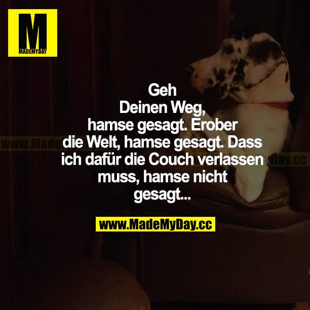 Geh deinen Weg, hamse gesagt. Erober die Welt, hamse gesagt. Dass ich dafür die Couch verlassen muss, hamse nicht gesagt...