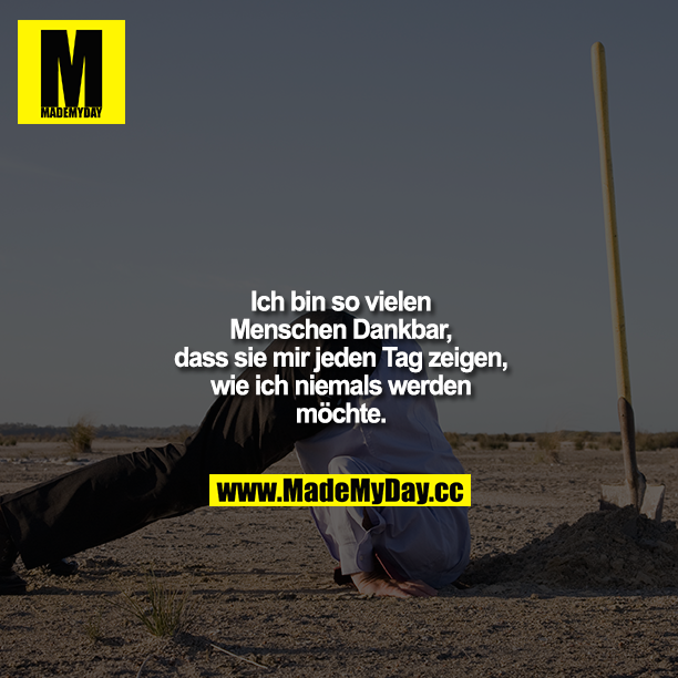 Ich bin so vielen Menschen Dankbar, dass sie mir jeden Tag zeigen, wie ich niemals werden möchte.