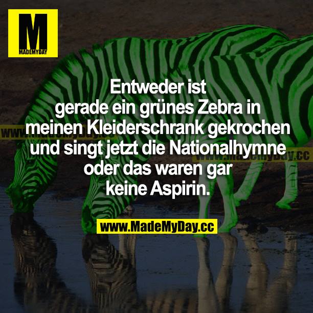Entweder ist gerade ein grünes Zebra in meinen Kleiderschrank gekrochen und singt jetzt die Nationalhymne oder das waren gar keine Aspirin.