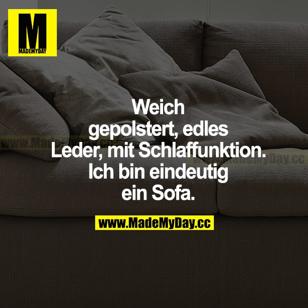 Weich gepolstert, edles Leder, mit Schlaffunktion. Ich bin eindeutig ein Sofa.