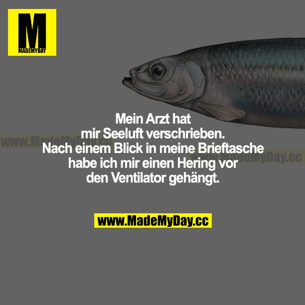 Mein Arzt hat mir Seeluft verschrieben. Nach einem Blick in meine Brieftasche, habe ich mir einen Hering vor den Ventilator gehängt.