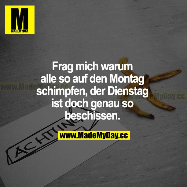 Frag mich, warum alle so auf den Montag schimpfen, der Dienstag ist doch genau so beschissen.