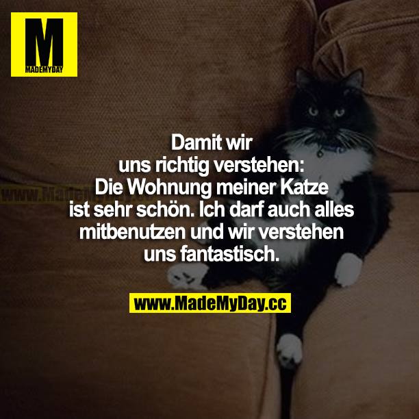 Damit wir uns richtig verstehen: Die Wohnung meiner Katze ist sehr schön. Ich darf auch alles mitbenutzen und wir verstehen uns fantastisch.