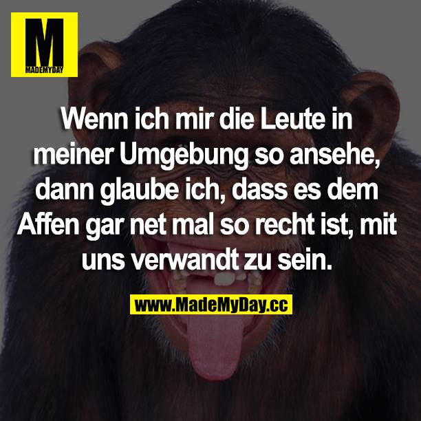 Wenn ich mir die Leute in meiner Umgebung so ansehe, dann glaube ich, dass es dem Affen gar net mal so recht ist, mit uns verwandt zu sein.