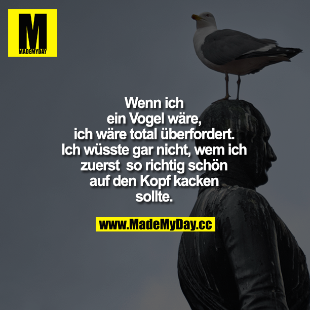 Wenn ich ein Vogel wäre, ich wäre total überfordert. Ich wüsste gar nicht, wem ich zuerst  so richtig schön auf den Kopf kacken sollte.