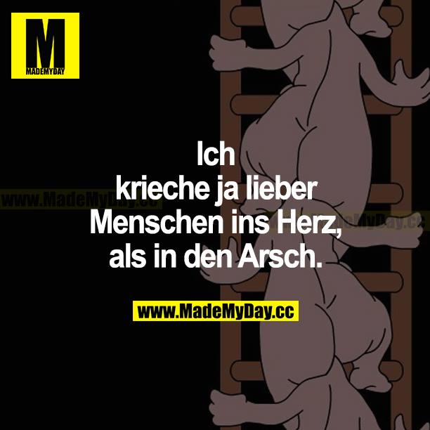 Ich krieche ja lieber Menschen ins Herz als in den Arsch.