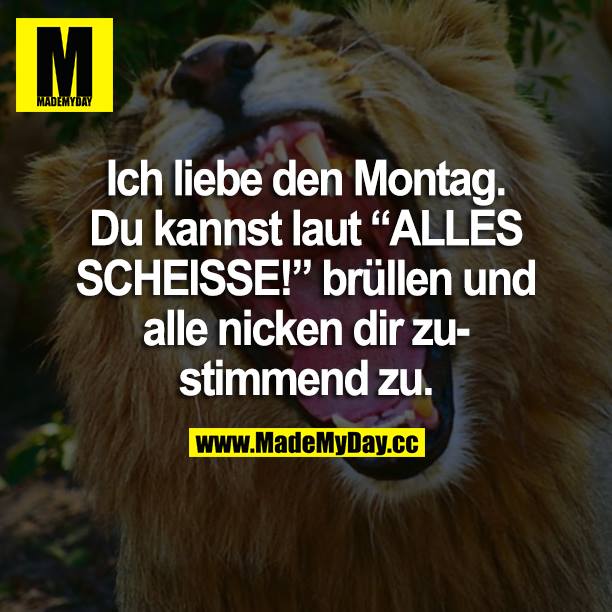 Ich liebe den Montag. Du kannst laut "ALLES SCHEISSE" brüllen und alle nicken dir zustimmend zu.