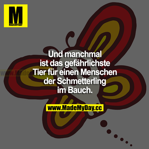 Und manchmal ist das gefährlichste Tier für einen Menschen der Schmetterling im Bauch.