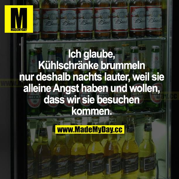 Ich glaube, Kühlschränke brummeln nur deshalb nachts lauter, weil sie alleine Angst haben und wollen, dass wir sie besuchen kommen.