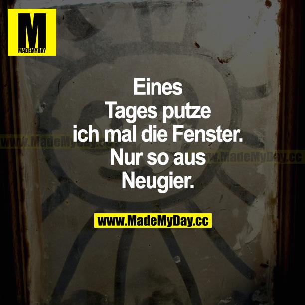 Eines Tages putze ich mal die Fenster. Nur so aus Neugier.