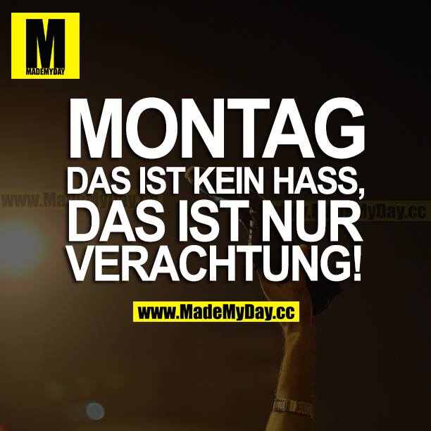 MONTAG DAS IST KEIN HASS, DAS IST NUR VERACHTUNG!