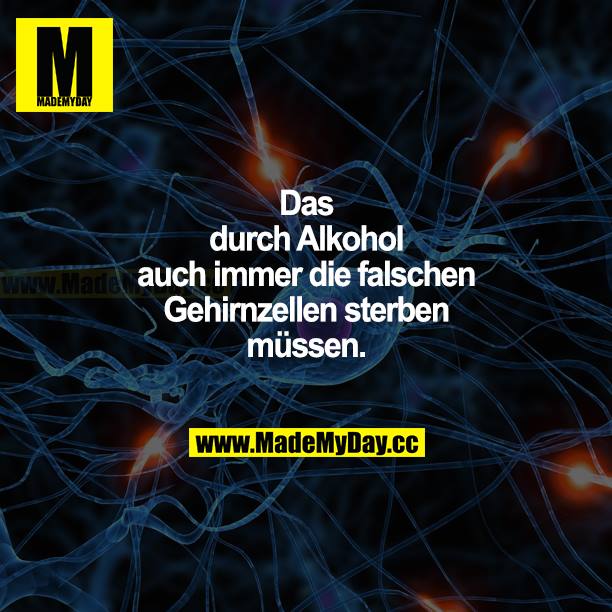 Dass durch Alkohol auch immer die falschen Gehirnzellen sterben müssen.