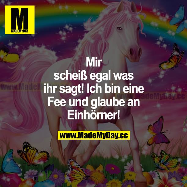 Mir scheißegal, was ihr sagt! Ich bin eine Fee und glaube an Einhörner!