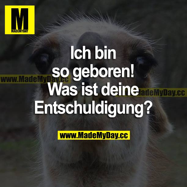 Ich bin so geboren! Was ist deine Entschuldigung?