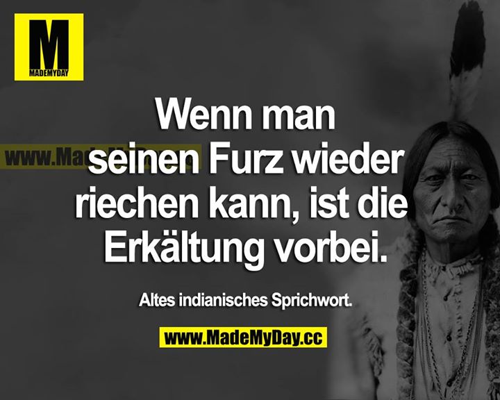 Wenn man seinen Furz wieder riechen kann, ist die Erkältung vorbei.<br />
Altes indianisches Sprichwort.