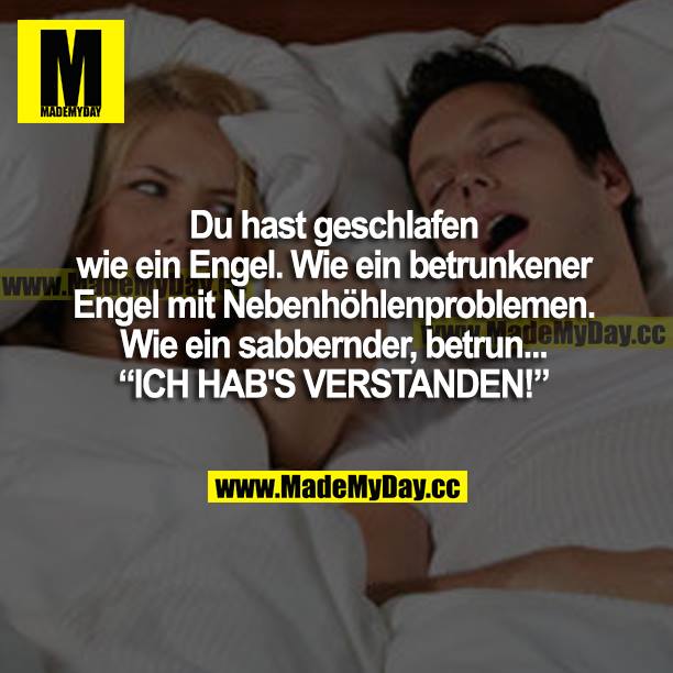 Du hast geschlafen wie ein Engel. Wie ein betrunkener Engel mit Nebenhöhlenproblemen. Wie ein sabbernder, betrun...<br />
"ICH HAB'S VERSTANDEN!"