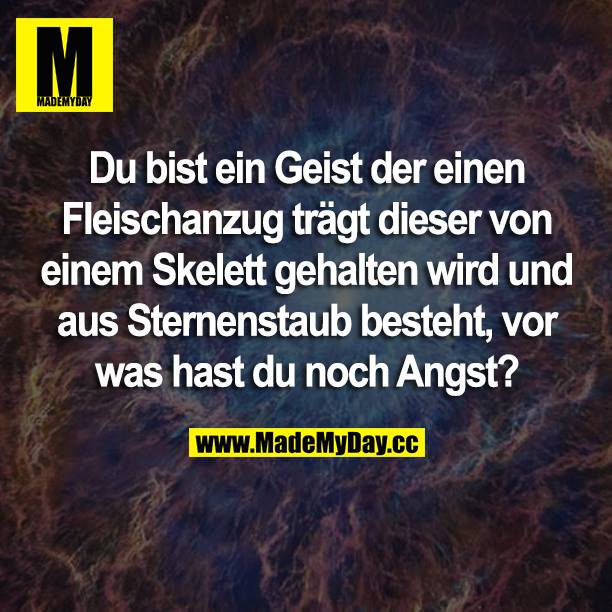 Du bist ein Geist der einen Fleischanzug trägt dieser von einem Skelett gehalten wird und aus Sternenstaub besteht, vor was hast du noch Angst?