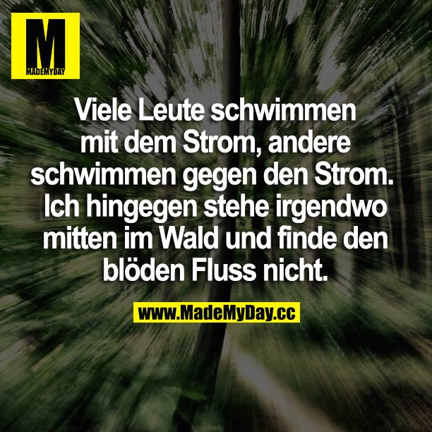 Viele Leute schwimmen mit dem Strom, andere schwimmen gegen den Strom. Ich hingegen stehe irgendwo im Wald und finde den blöden Fluss nicht.