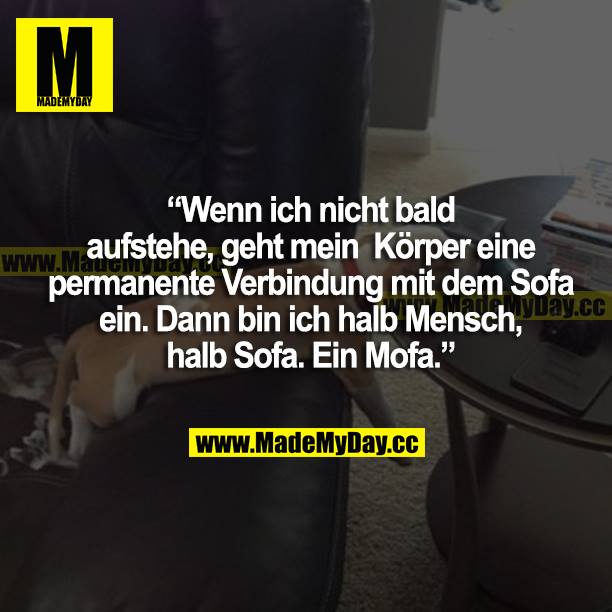 "Wenn ich nicht bald aufstehe, geht mein Körper eine permanente Verbindung mit dem Sofa ein. Dann bin ich halb Mensch, halb Sofa. Ein Mofa."