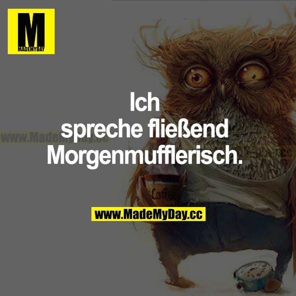 Ich spreche fließend Morgenmufflerisch.