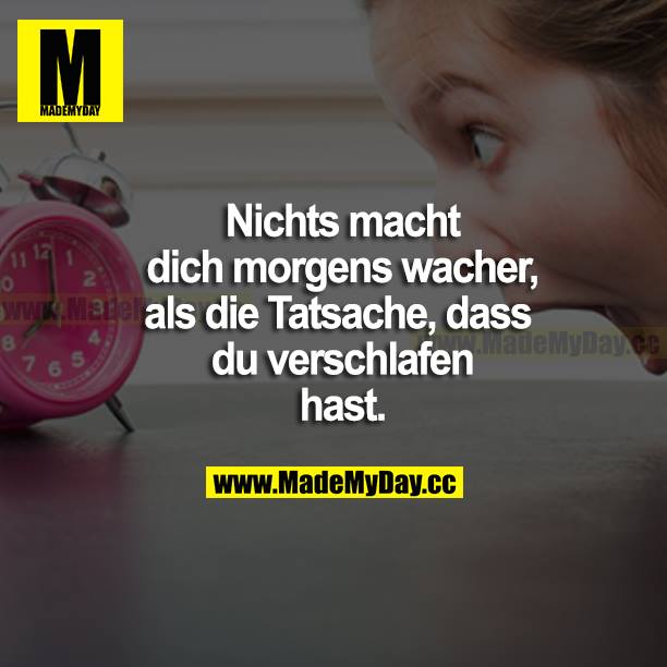 Nichts macht dich morgens wacher, als die Tatsache, dass du verschlafen hast.