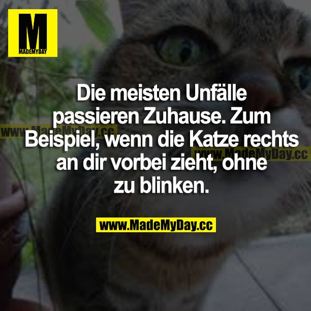 Die meisten Unfälle passieren Zuhause. Zum Beispiel, wenn die Katze rechts an dir vorbei zieht, ohne zu blinken.