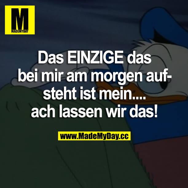 Das EINZIGE das bei mir am morgen aufsteht ist mein....<br />
ach lassen wir das!