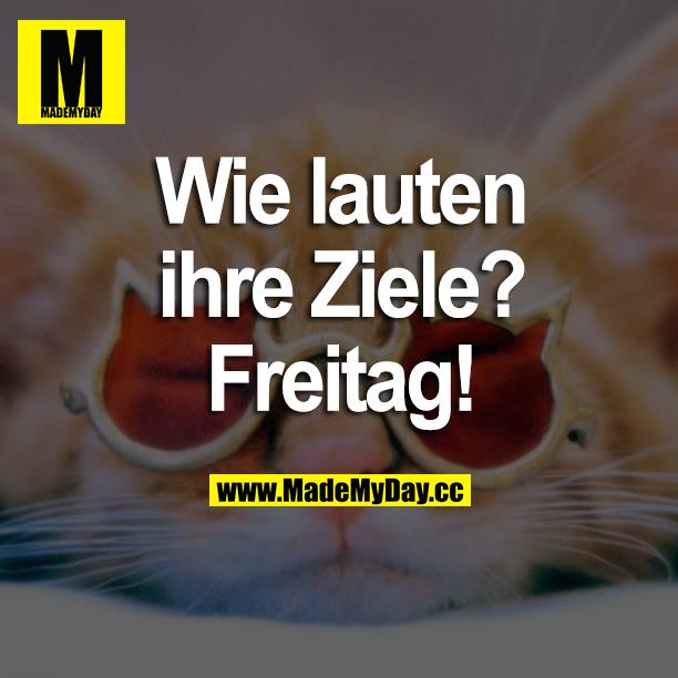 Wie lauten ihre Ziele? Freitag!