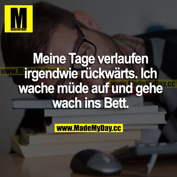 Meine Tage verlaufen irgendwie rückwärts. Ich wache müde auf und gehe wach ins Bett.