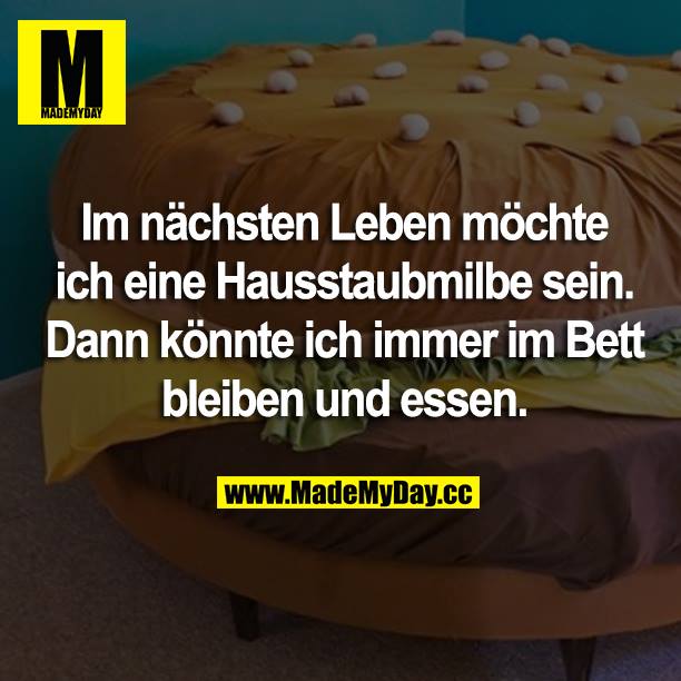 Im nächsten Leben möchte ich eine Hausstaubmilbe sein. Dann könnte ich immer im Bett bleiben und essen.