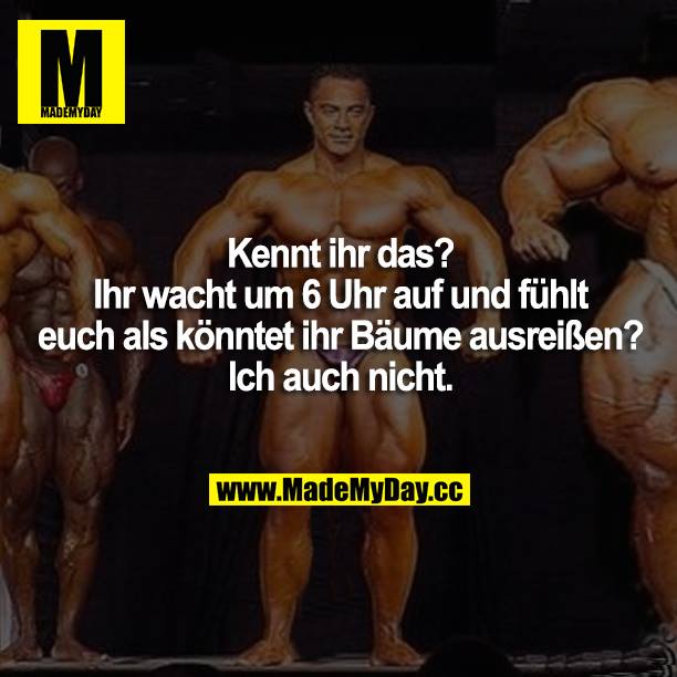 Kennt ihr das? Ihr wacht um 6 Uhr auf und fühlt euch als könntet ihr Bäume ausreißen? Ich auch nicht.