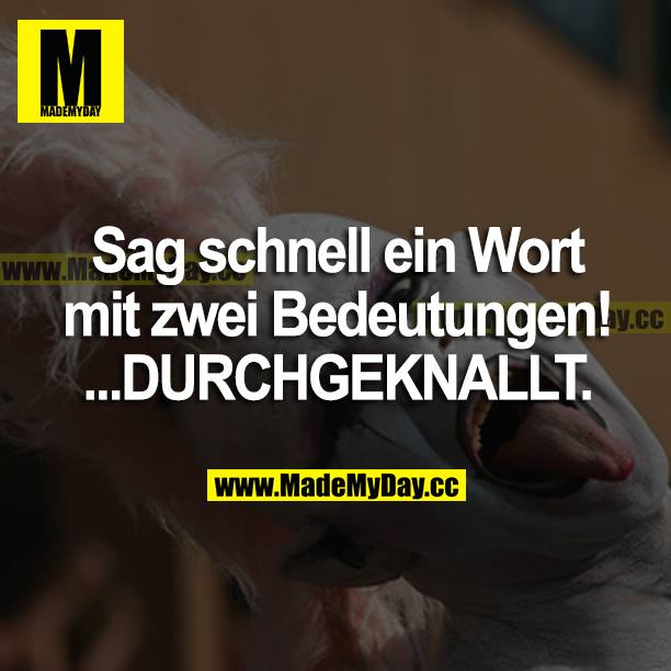 "Sag schnell, ein Wort mit zwei Bedeutungen!"<br />
"..Durchgeknallt." <br />
"..."