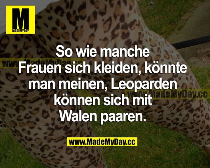 So wie manche Frauen sich kleiden, könnte man meinen, Leoparden können sich mit Walen paaren.