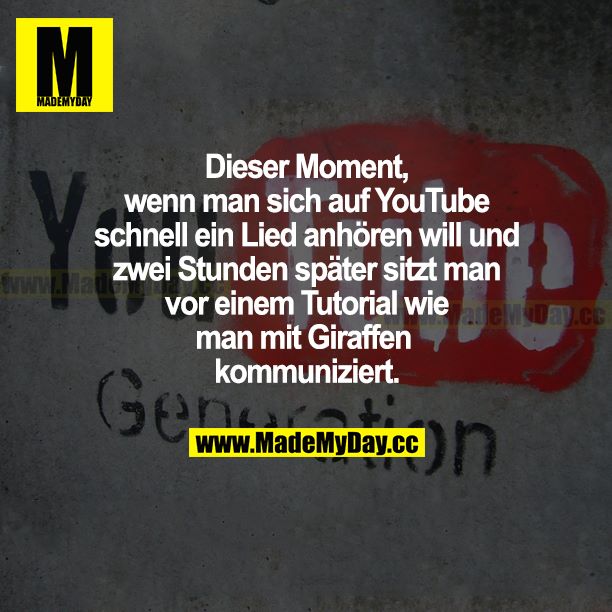 Dieser Moment, wenn man sich auf YouTube schnell ein Lied anhören will und zwei Stunden später sitzt man vor einem Tutorial, wie man mit Giraffen kommuniziert.
