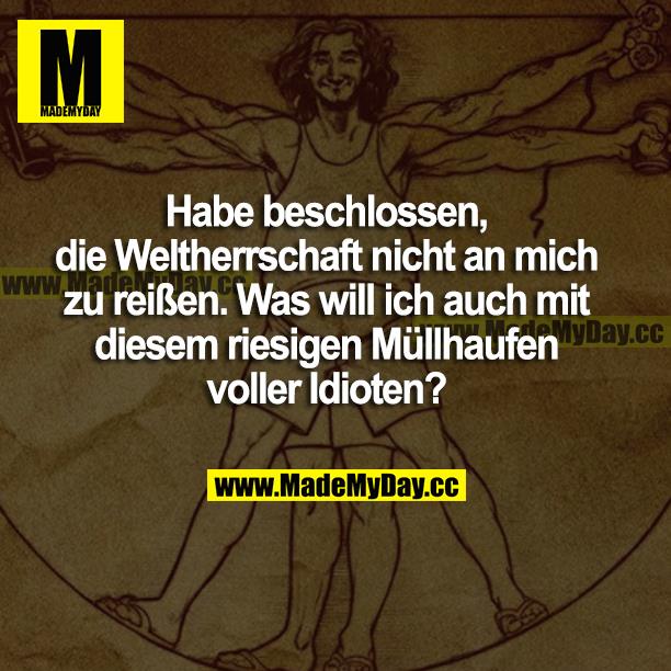 Habe beschlossen, die Weltherrschaft nicht an mich zu reißen. Was will ich auch mit diesem riesigen Müllhaufen voller Idioten?