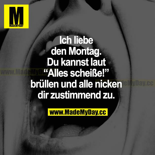 Ich liebe den Montag. Du kannst laut "Alles scheiße!" brüllen und alle nicken dir zustimmend zu.