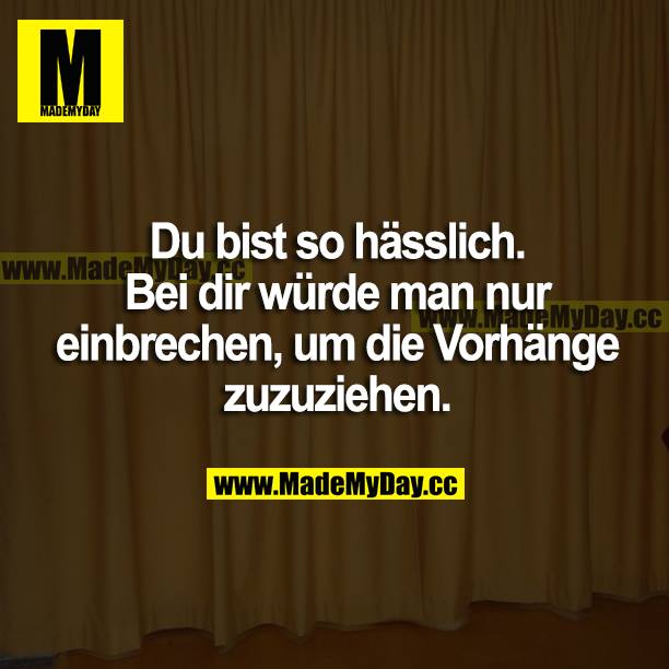 Du bist so hässlich. Bei dir würde man nur einbrechen, um die Vorhänge zuzuziehen.