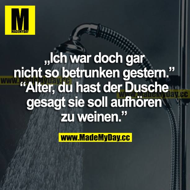"Ich war doch gar nicht so betrunken gestern."<br />
"Alter, du hast der Dusche gesagt sie soll aufhören zu weinen."