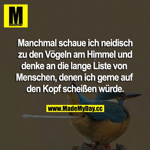 Manchmal schaue ich neidisch zu den Vögeln am Himmel und denke an die lange Liste von Menschen, denen ich gerne auf den Kopf scheißen würde.