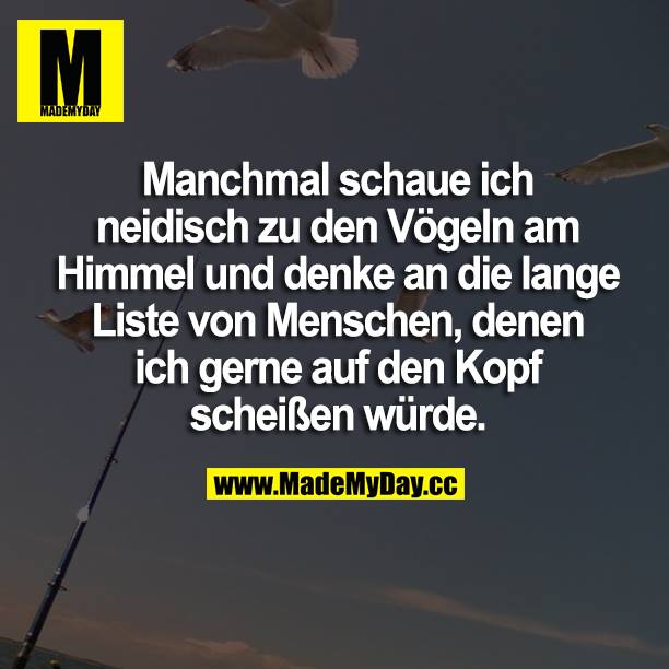 Manchmal schaue ich neidisch zu den Vögeln am Himmel und denke an die lange Liste von Menschen, denen ich gerne auf den Kopf scheißen würde.
