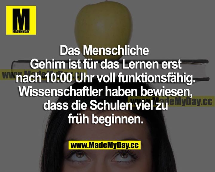 Das menschliche Gehirn ist für das Lernen erst nach 10:00 Uhr voll funktionsfähig. Wissenschaftler haben bewiesen, dass die Schulen viel zu früh beginnen.