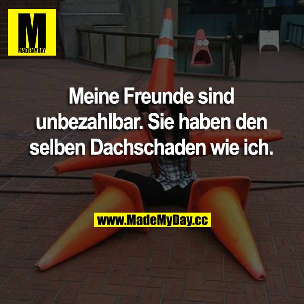 Meine Freunde sind unbezahlbar. Sie haben den selben Dachschaden wie ich.